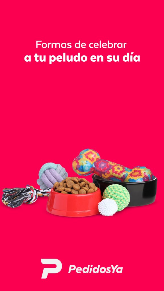 Story - Día mundial del perro S1